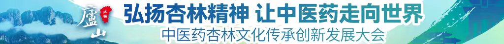 男人操女人骚b的视频中医药杏林文化传承创新发展大会